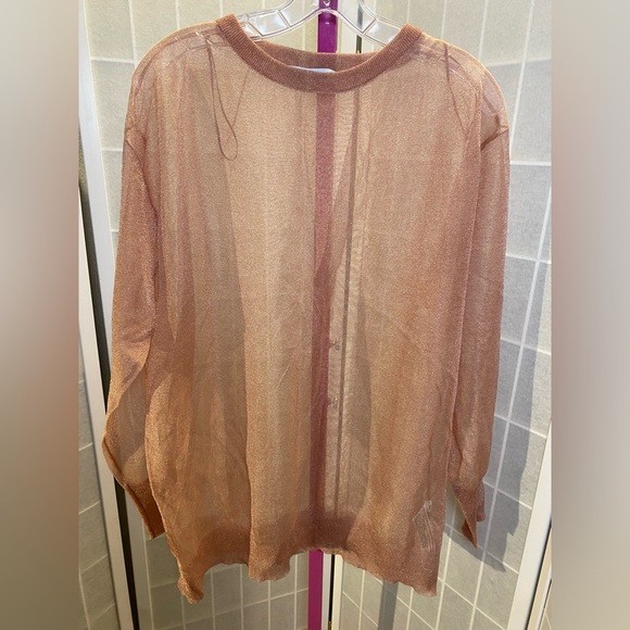 Zara Tops - NWOT Zara Metallic Rose Gold Sheer Top